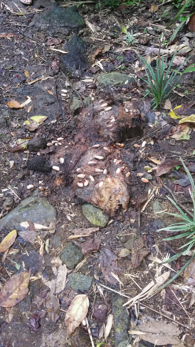 20160207 113806 (2016 10 02 16 07 39 UTC)